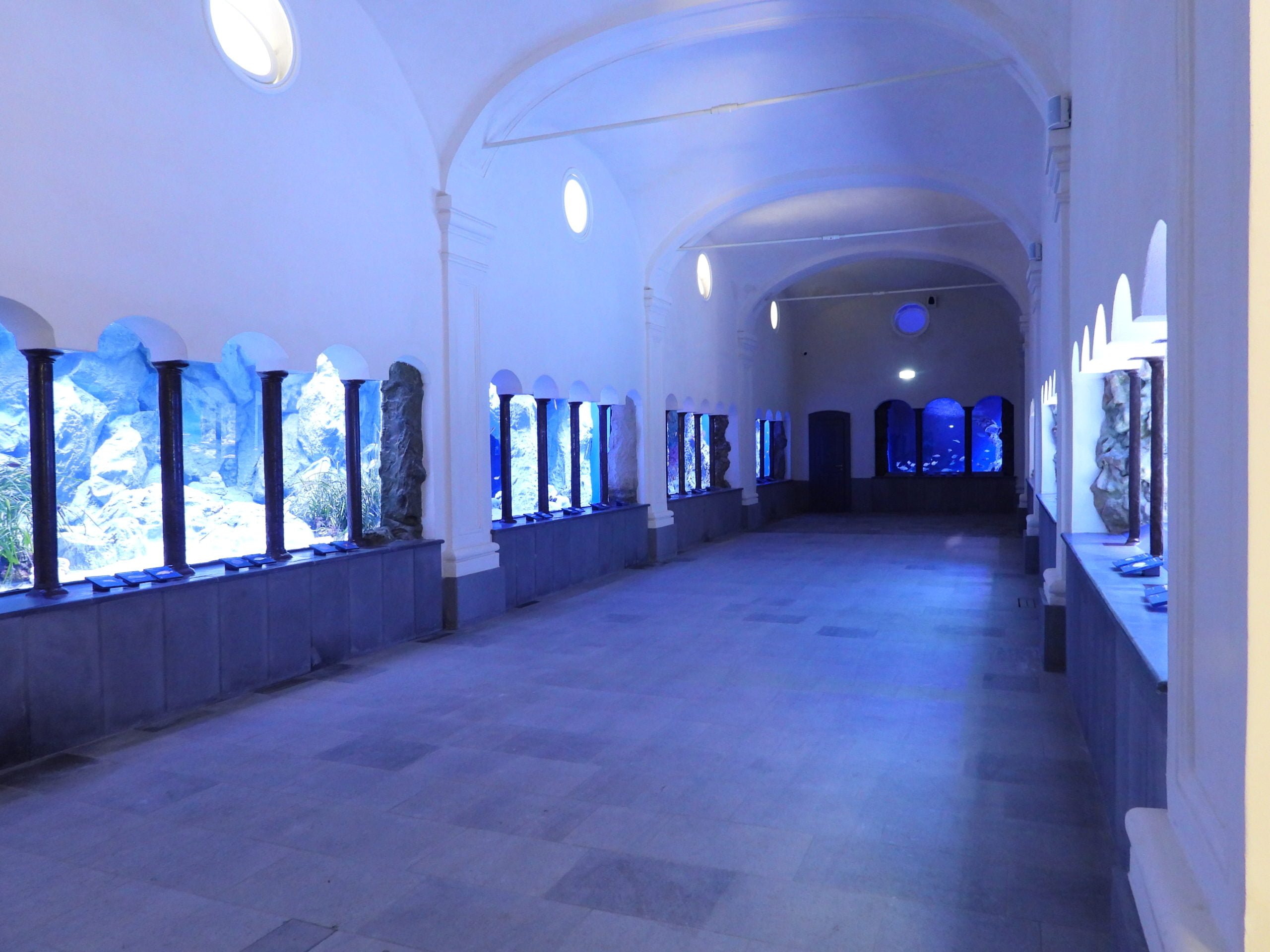 나폴리 수족관(아쿠아리오 디 나폴리)